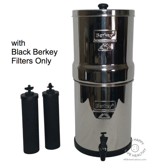 Berkey Black Berkey Purification Elements, Pack of 2 : .co